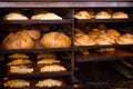 Cheese pastry round buns, bread, croissants Royalty Free Stock Photo