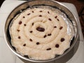 Cheese pie dough sprinkled with raisins Royalty Free Stock Photo