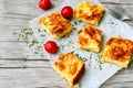 Cheese pie Royalty Free Stock Photo