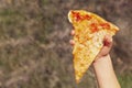 Cheese pizza. A child`s hand holds a piece of pizza Royalty Free Stock Photo