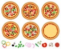 Cheese pizza with tomatoes, salami, olives, mushrooms, arugula and spices isolated on a white background. Vector illustration set