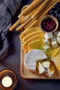 cheese plate and bread sticks Royalty Free Stock Photo
