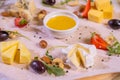 Cheese plate with cheeses Dorblu, Parmesan, Brie, Camembert and Roquefort in serving on the table from an old tree close Royalty Free Stock Photo