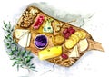 Cheese plate with honey and biscuits. Painted in watercolor