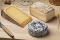 Cheese platter with French and Italian cheese  close up Royalty Free Stock Photo