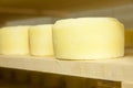 Cheese production Royalty Free Stock Photo