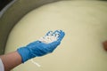 Cheese production cheesery dairy farming. Manual labor in the production of whey, curd, sourdough. Close-up Royalty Free Stock Photo