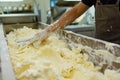 Cheese production worker separating curds with tools