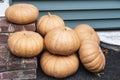 Cheese pumpkins outside of house