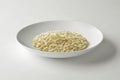 Cheese Risotto and parmesan flakes in white bow Royalty Free Stock Photo