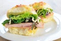 Cheese rolls with ham and salad