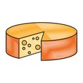 cheese round food nutrition diet