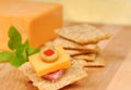 Cheese and salami appetizer Royalty Free Stock Photo