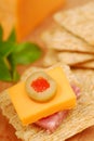 Cheese and salami appetizer Royalty Free Stock Photo