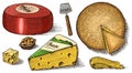 Cheese set. Slices of Bleu de Gex Edam Camembert Mozzarella for market or grocery store. Cheeseboard and Fresh organic