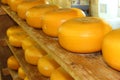Cheese on a Shelf in Cheese Factory of Zaanse-Schans in Holland Royalty Free Stock Photo