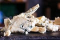 Cheese shop. Roquefort. Selective focus. Close up.