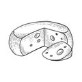 Cheese sketch engraving vector illustration