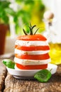 Cheese and tomato tower Royalty Free Stock Photo
