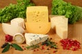 Cheese types Royalty Free Stock Photo