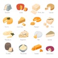 Cheese types collection, dairy products set of food