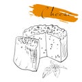 Cheese types. Delicious fresh cheese variet cheese