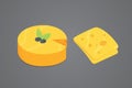 Cheese types . Modern flat style realistic vector illustration icons. Isolated parmesan or cheddar fresh.