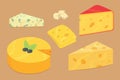 Cheese types . Modern flat style realistic vector illustration icons. Isolated parmesan or cheddar fresh on white