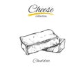 Cheese vector sketch