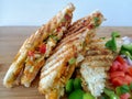 Cheese Veg Mayo paneer grilled sandwich recipe