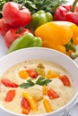 Cheese and Vegetable Cream Soup Royalty Free Stock Photo