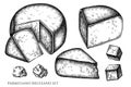 Cheese vintage vector illustrations collection. Black and white parmigiano reggiano.