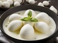 Cheese of the Water Buffalo: Exploring the Artistry of Mozzarella di Bufala Royalty Free Stock Photo