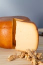 Cheese wheel and slice with nuts Royalty Free Stock Photo