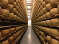 Cheese wheels in cheese cellar