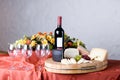 Cheese and wine Royalty Free Stock Photo