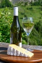 Cheese and wine, glasses of dry white Roussette de Savoie and Vin de Savoie wine from Savoy region with blue cheese and view on Royalty Free Stock Photo