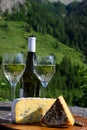 Cheese and wine, glasses of dry white Roussette de Savoie and Vin de Savoie wine from Savoy region, tomme and blue cheese, view on Royalty Free Stock Photo