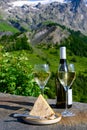 Cheese and wine, glasses of dry white Roussette de Savoie and Vin de Savoie wine from Savoy region with tomme cheese and view on Royalty Free Stock Photo