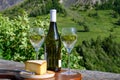 Cheese and wine, glasses of dry white Roussette de Savoie and Vin de Savoie wine from Savoy region with tomme cheese and view on Royalty Free Stock Photo