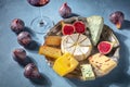 Cheese and wine. A cheese plate with Brie, blue cheese and other types Royalty Free Stock Photo