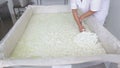 Cheese worker hands creamery dairy mixing