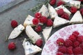 Cheese with blue mold and raspberry.