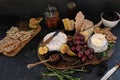 Cheeseboard with a variety of cheeses, crackers, fruit, honey, rosemary sprigs and chutney Royalty Free Stock Photo