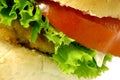 Cheeseburger Royalty Free Stock Photo