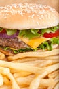Cheeseburger and French Fries Royalty Free Stock Photo
