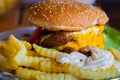 Cheeseburger with french fries Royalty Free Stock Photo