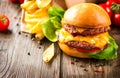 Cheeseburger with fresh salad and french fries Royalty Free Stock Photo