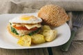 Cheeseburger with fried egg and potato vedges Royalty Free Stock Photo