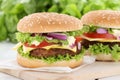 Cheeseburger hamburger burger tomatoes cheese Royalty Free Stock Photo